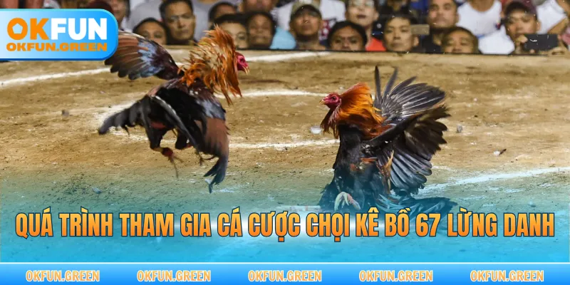 Quá trình tham gia cá cược chọi kê bồ 67 lừng danh