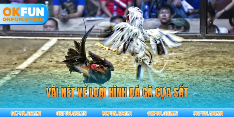 Vài nét về loại hình đá gà cựa sắt