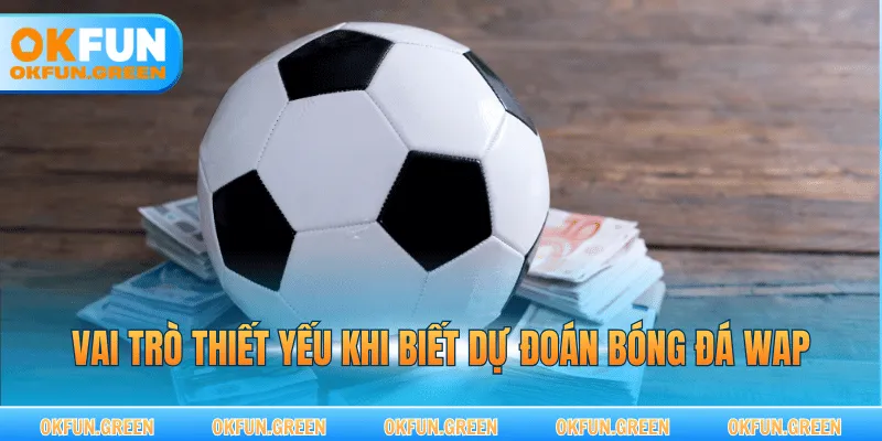 Vai trò thiết yếu khi biết dự đoán bóng đá wap